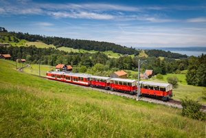 Ausflug am Bodensee: Erlebnisrundfahrt und Witzwanderweg mit den Appenzellerbahnen Heiden
