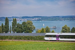 Thurbo Zug entlang des Obersees